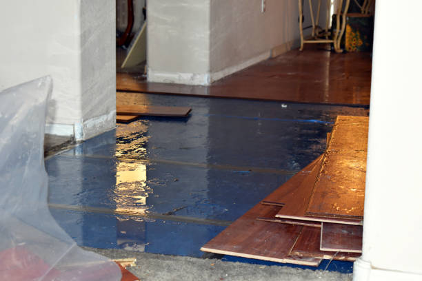 Professional Flood Cleanup technician working in Burton, MI